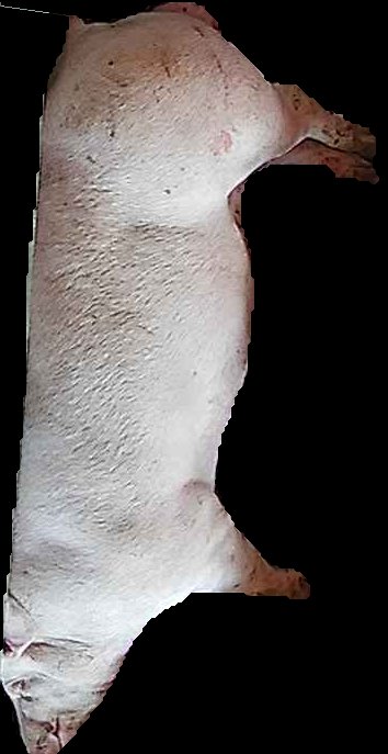Crop