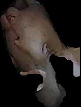 Crop