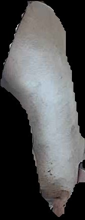 Crop
