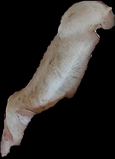 Crop