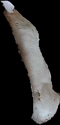 Crop
