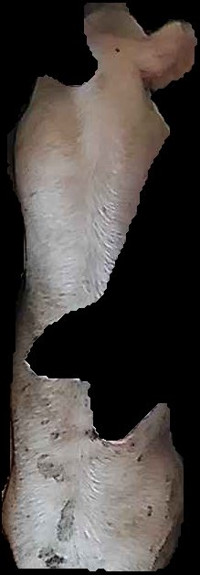 Crop