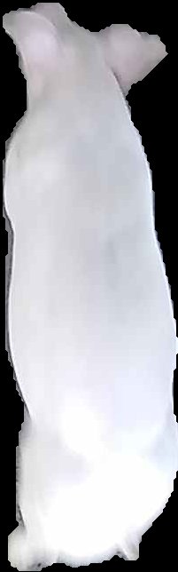 Crop