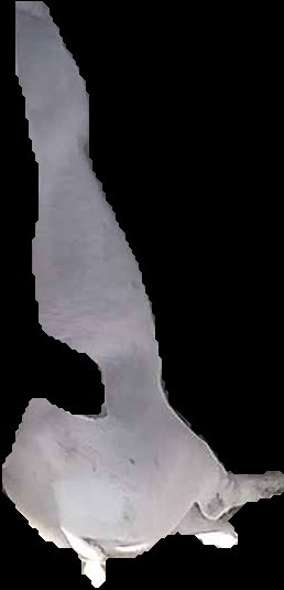 Crop