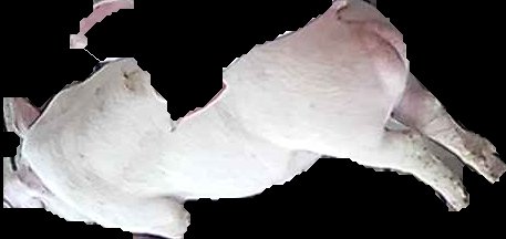 Crop
