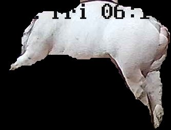 Crop