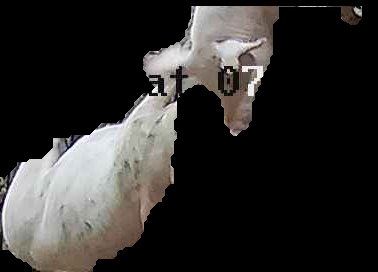Crop