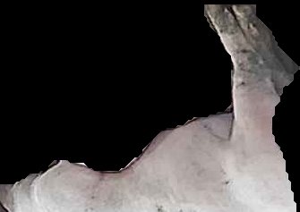 Crop