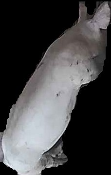 Crop