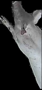 Crop