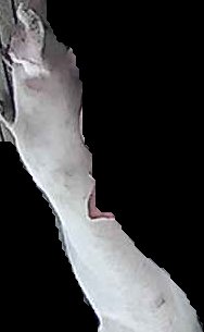 Crop