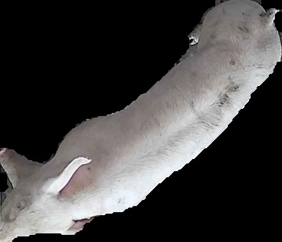 Crop