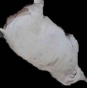 Crop