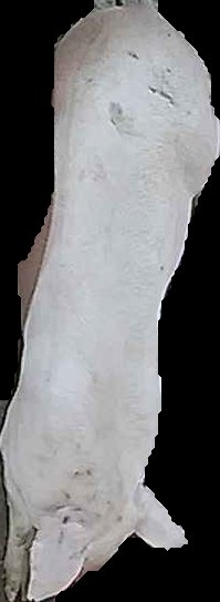 Crop