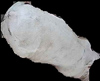 Crop