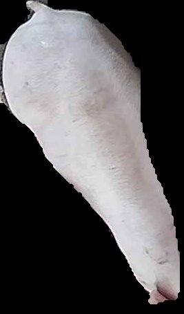 Crop