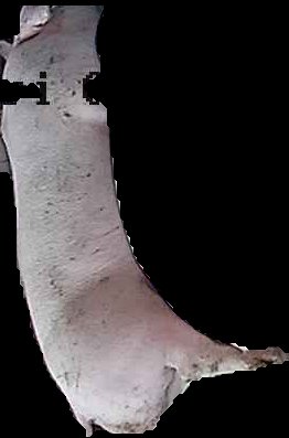 Crop