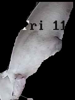 Crop