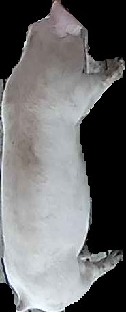 Crop