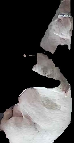 Crop