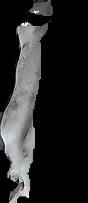 Crop