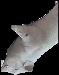Crop
