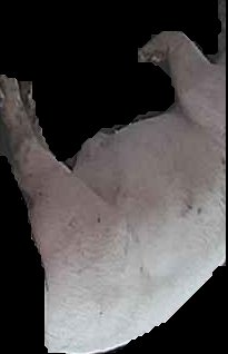 Crop
