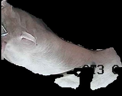 Crop