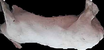 Crop