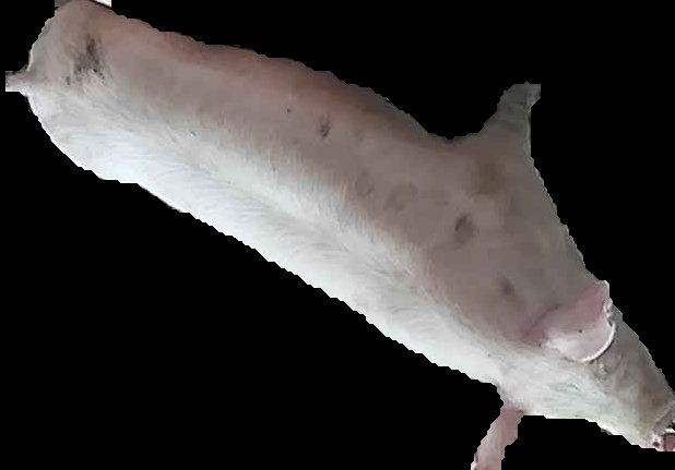 Crop