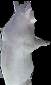 Crop