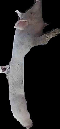 Crop