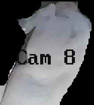 Crop