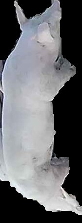Crop