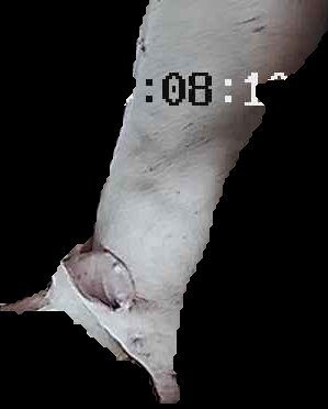 Crop