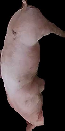 Crop