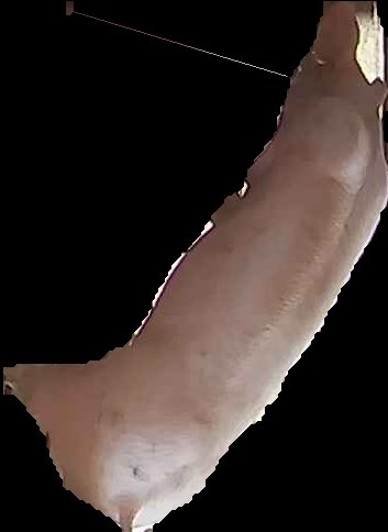 Crop