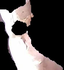 Crop