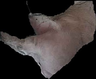 Crop