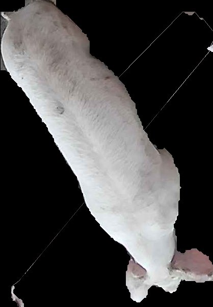 Crop