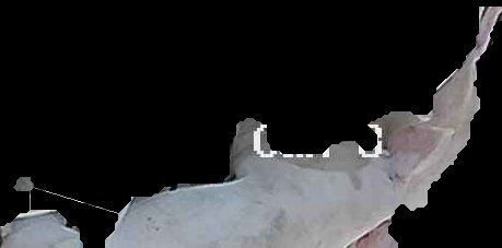 Crop