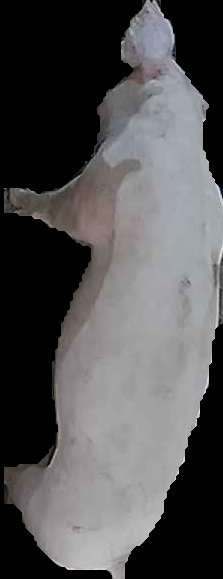 Crop