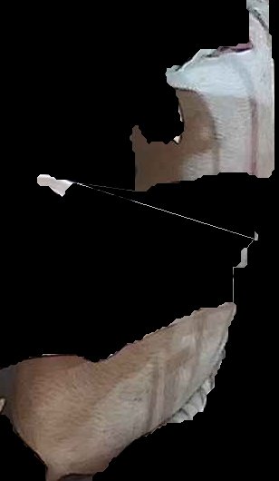 Crop