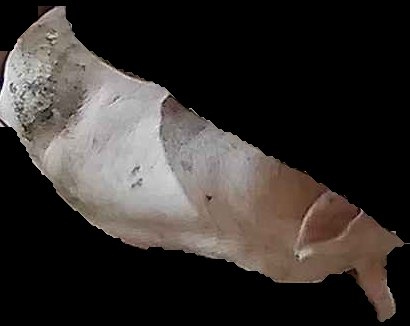 Crop