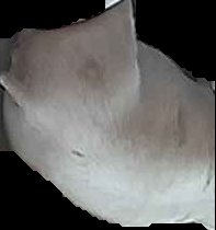 Crop