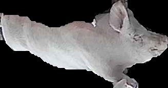 Crop