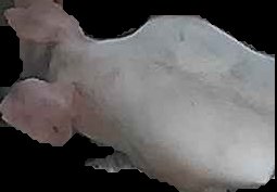 Crop