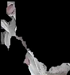 Crop