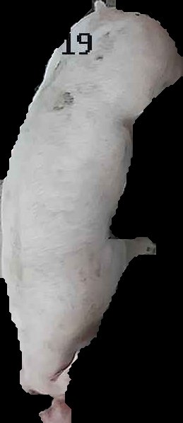 Crop