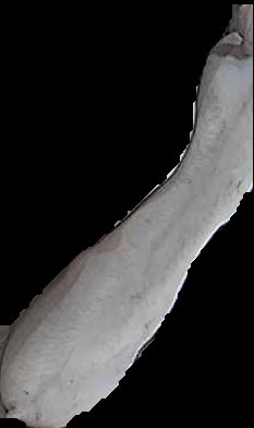 Crop